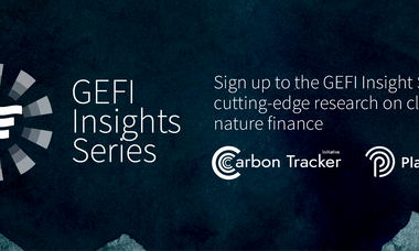 GEFI Insights Series 