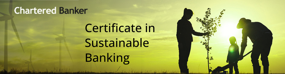 Certificate in SB no date graphic (950 x 250 px).png